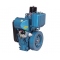 MOTOR 11.5 HP 1800RPM DIESEL ICYL E/S